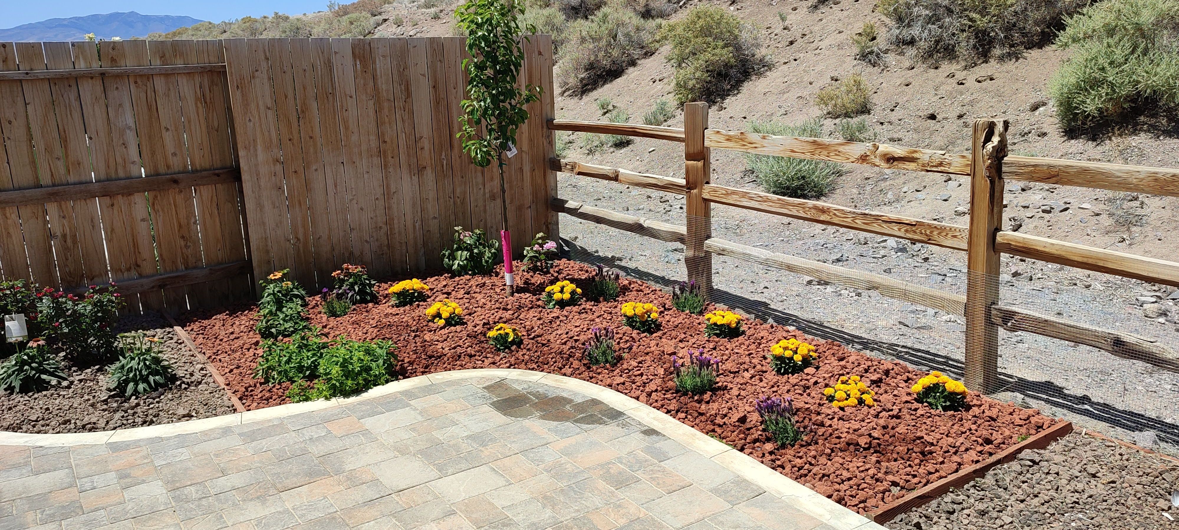 Landscaping Image
